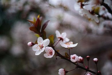 经典IP改编 《星际迷航：航海家号——穿越未知》公布